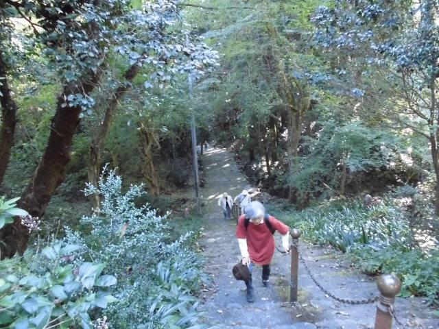 20261007定光寺1