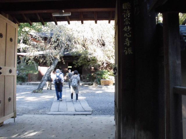 20261007定光寺2