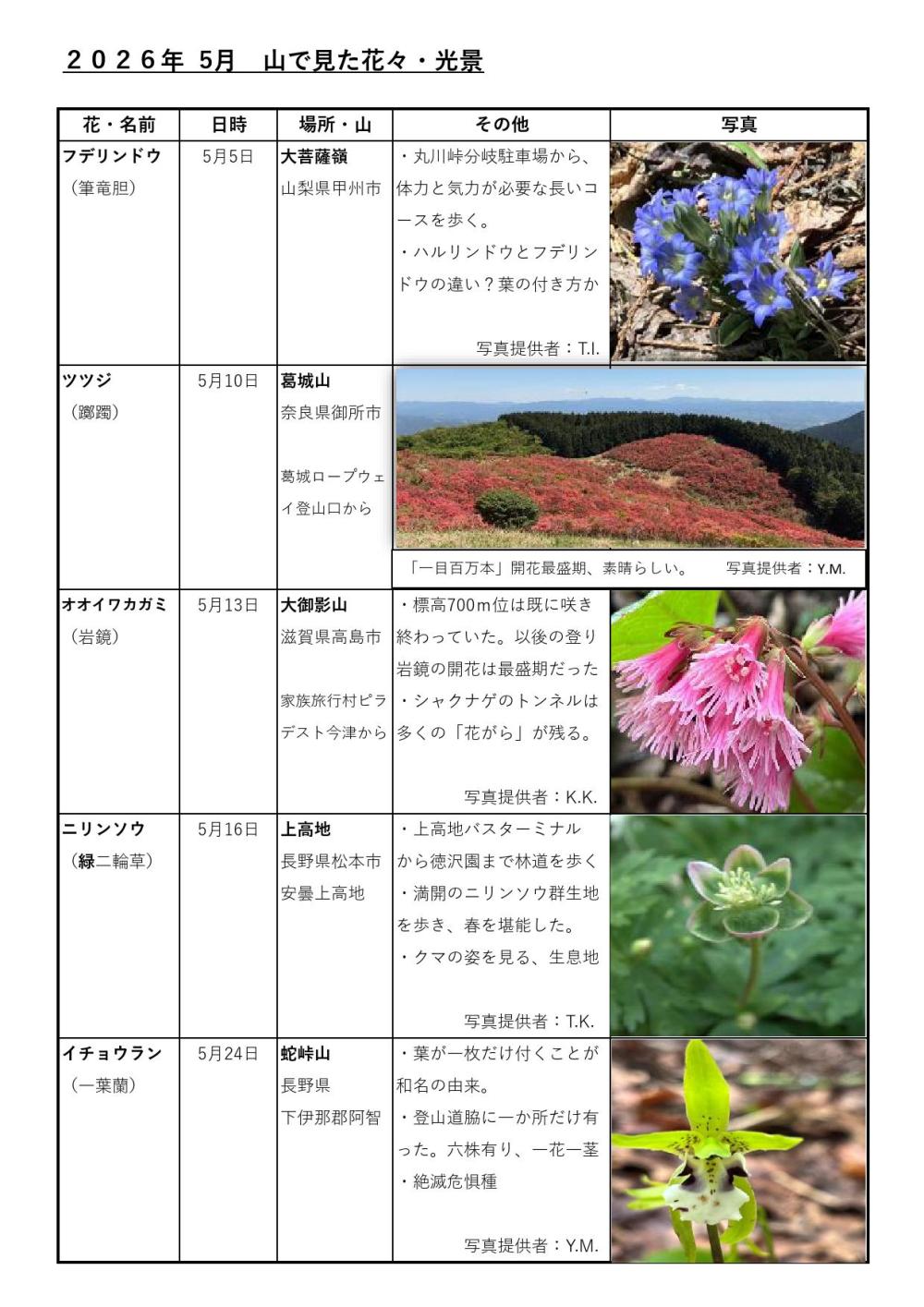ブログ花 5月圧縮_000001