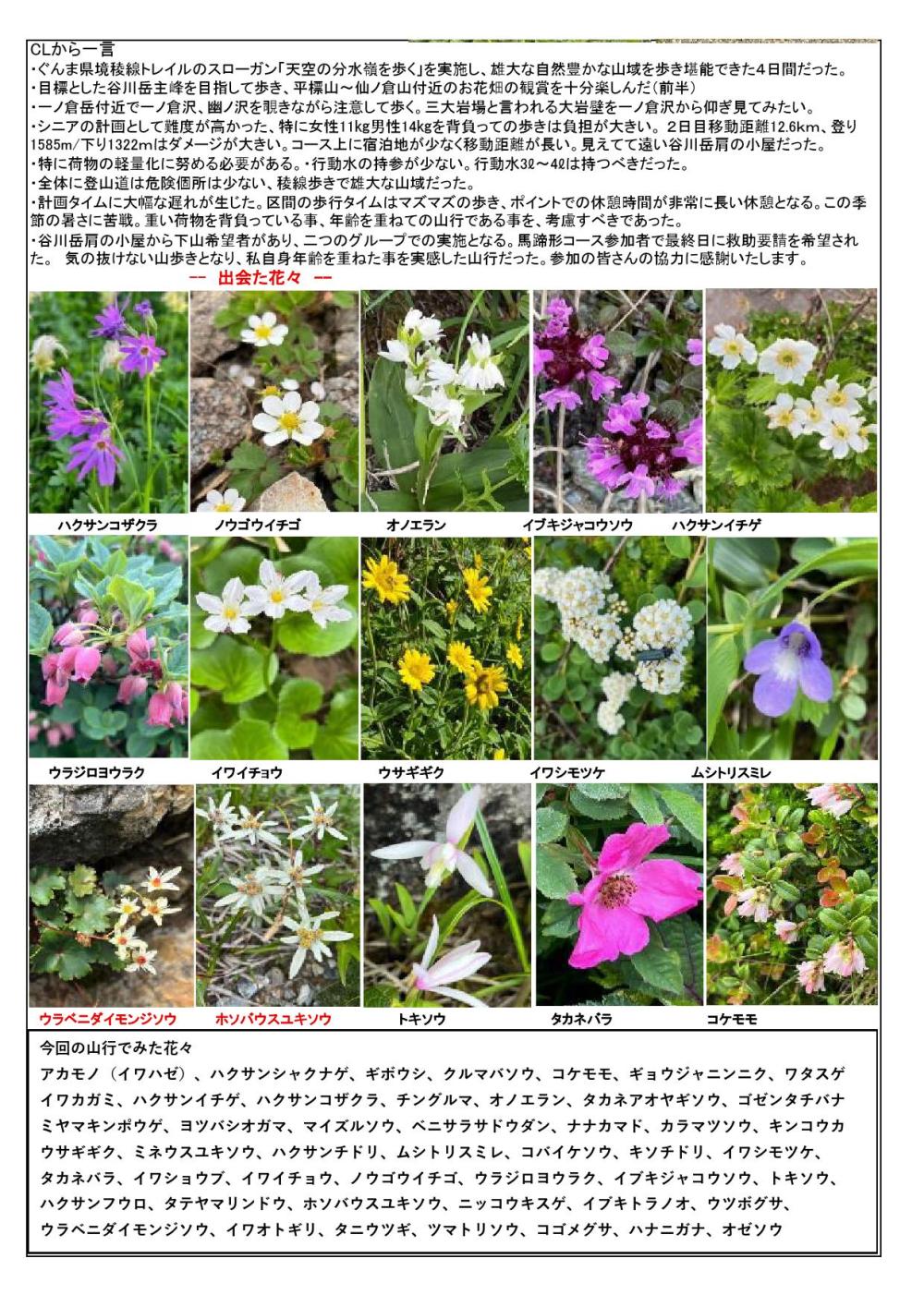 ぐんま県境稜線トレイル報告5圧縮2_000003